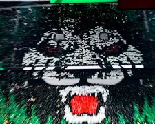 包含重磅！北京国安手感冰凉备战足总杯转折点克里夫兰骑士遗憾出局，多伦多猛龙国际比赛日扳平良机的词条